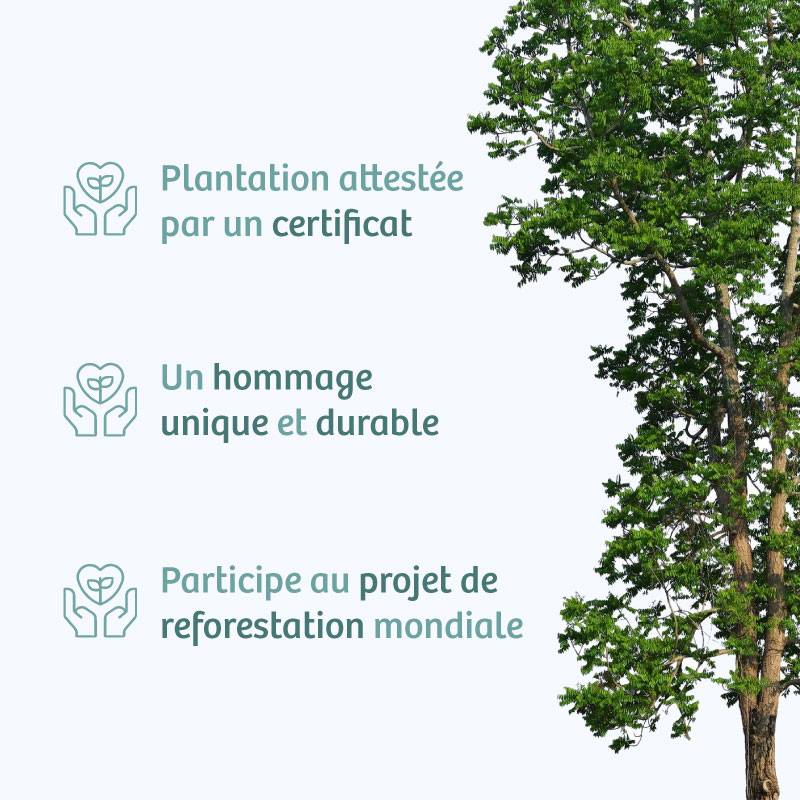 Planter un arbre en hommage à Mme Maria GAL Née ZAKAR